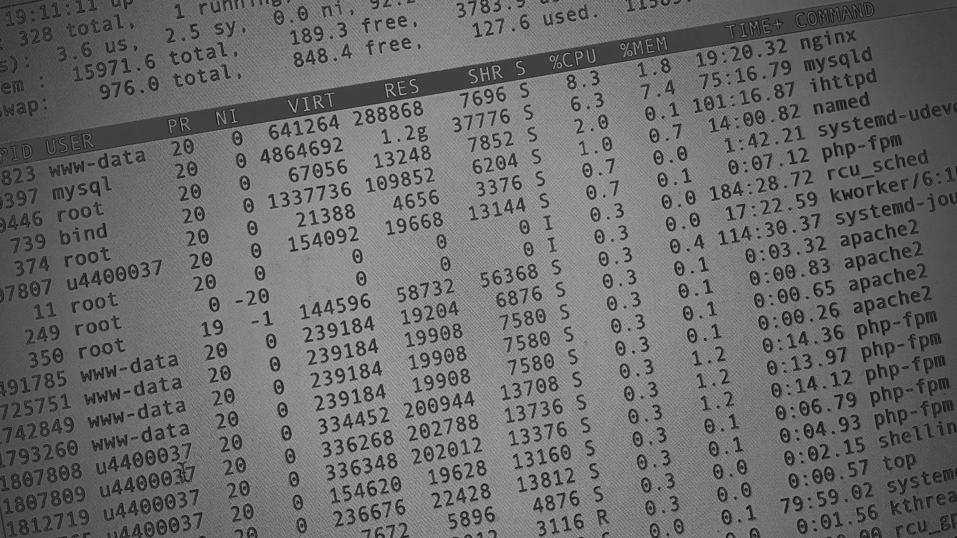 Настройка сервера в Каменке