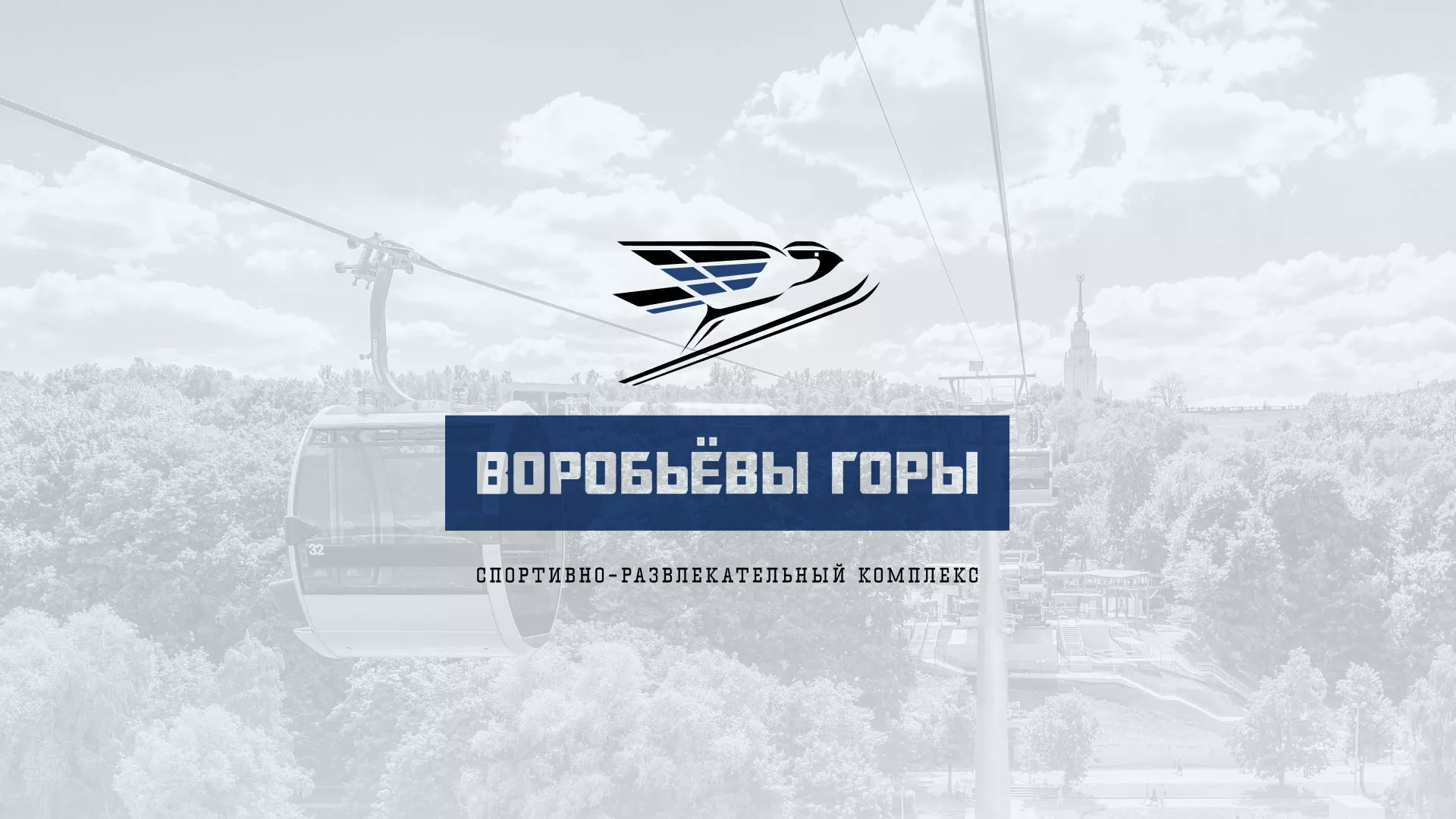 Разработка сайта в Каменке для спортивно-развлекательного комплекса «Воробьёвы горы»