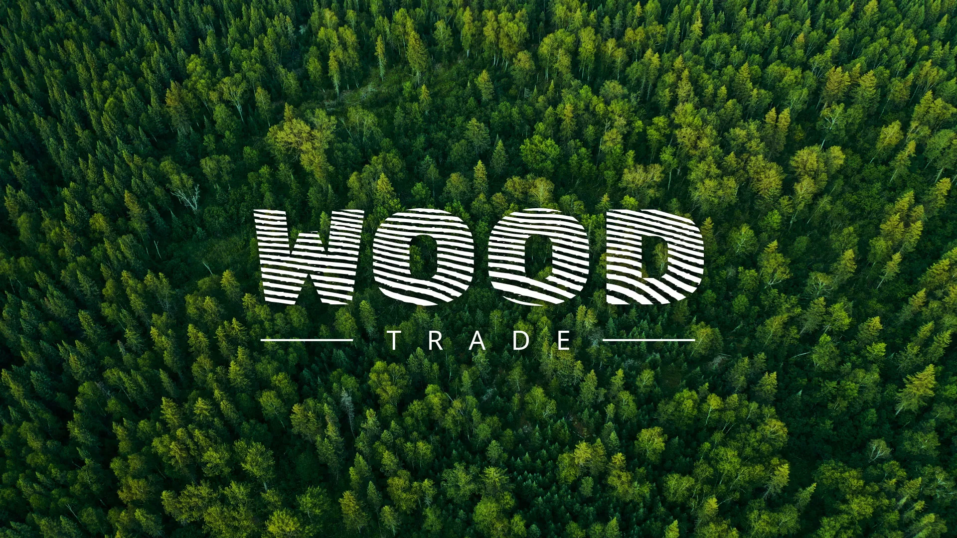 Разработка интернет-магазина компании «Wood Trade» в Каменке